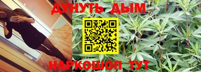 ГАЛЛЮЦИНОГЕННЫЕ ГРИБЫ Коммунар