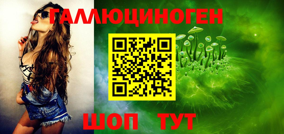 Псилоцибиновые грибы Cubensis  Псилоцибиновые грибы мицелий  Вход с VPN  Азов 